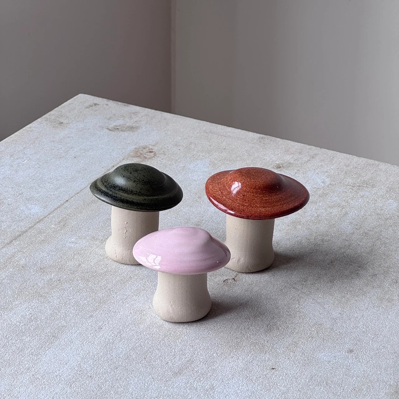 Mushroom – Chestnut